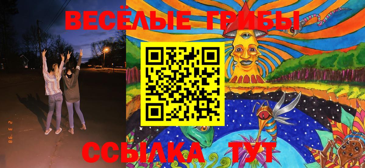 Галлюциногенные грибы Magic Shrooms  Вход с VPN  Ковров 