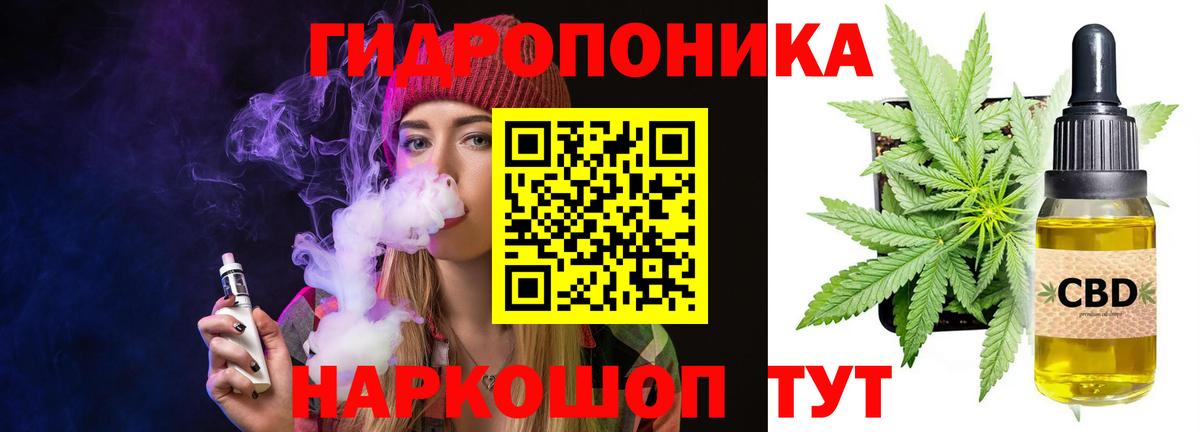 Конопля сатива  Бошки Шишки SATIVA & INDICA  МАРИХУАНА семена  Ковров  Шишки марихуана семена  Вход с VPN 